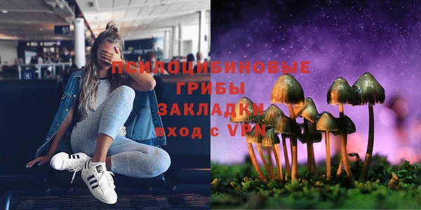 2c-b Балахна