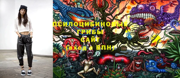 2c-b Балахна