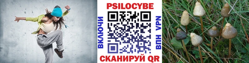 Псилоцибиновые грибы Psilocybe  Шахунья 